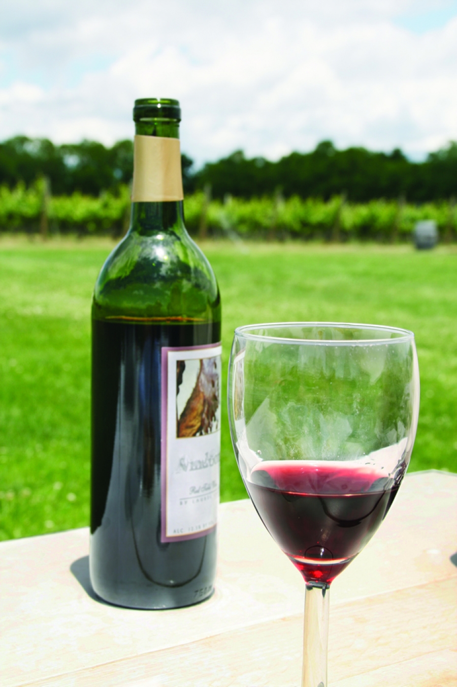 Explore a Nearby Winery or Vineyard | Travel Dreamz Travel Agent