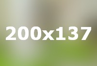 Interior Green Design