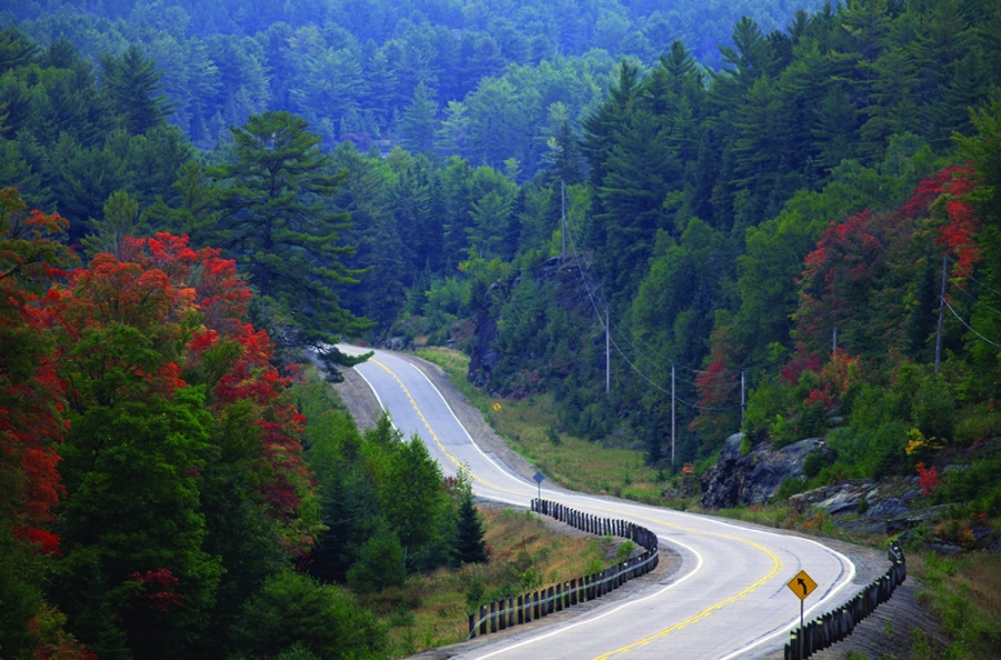 Enjoy Some Scenic Roads | Travel Dreamz Travel Agent