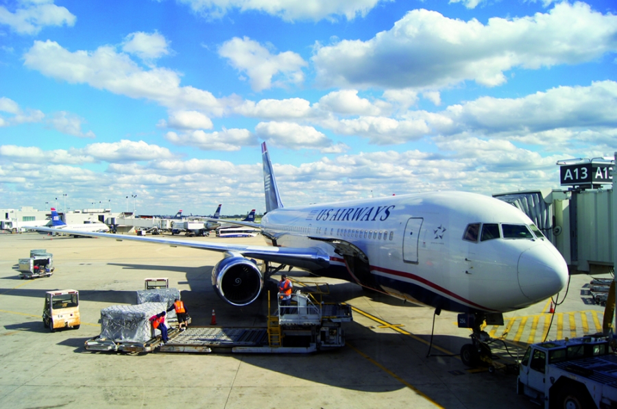 Learn the Basics of Traveling with Pets | Travel Dreamz Travel Agent