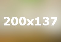 Double room with decorative