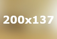 Wooden wall house interior